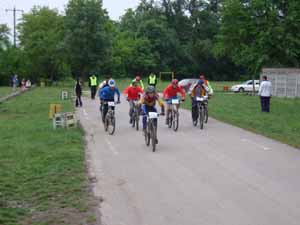 Startul la categoria elita