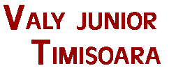 S.C. VALY JUNIOR S.R.L.
